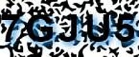 grafischer Sicherheitscode