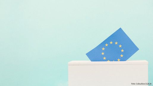 eu, election, ballot box, european, union, voting, parliament, flag, citizens, europe, box, population, stars, blue, yellow, vote, postal, country, politics, electing, euro, people, human rights, ballot, activity, government, immigration, referendum, envelope, protest, riot, law, decision, choice, communication, group, social, migration, border, political, liberty, freedom, diplomacy, rights, member, politic, passport, community, equity